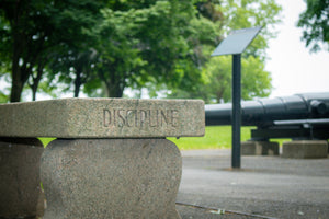 Discipline as a business virtue